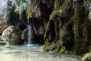 看完这份数据榜，我只想说：大神，请收下我的膝盖！